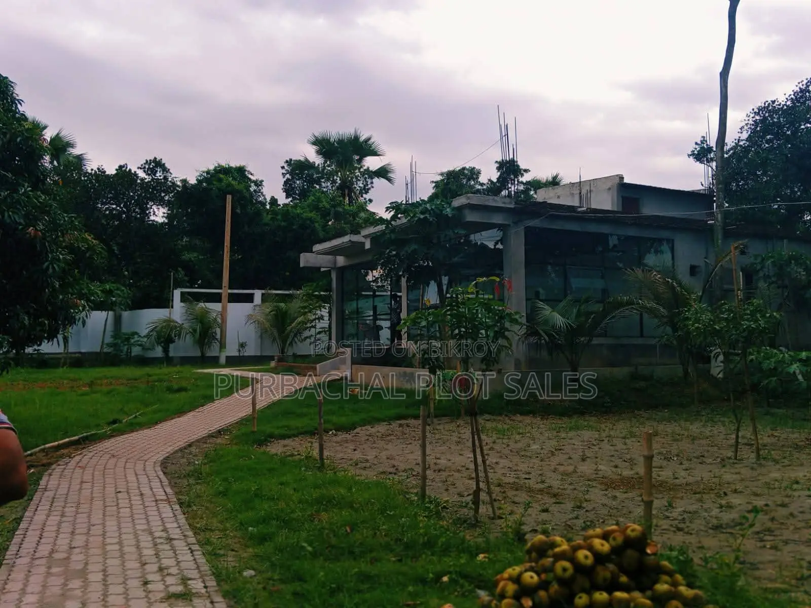 Invest in Pine City in Purbachal