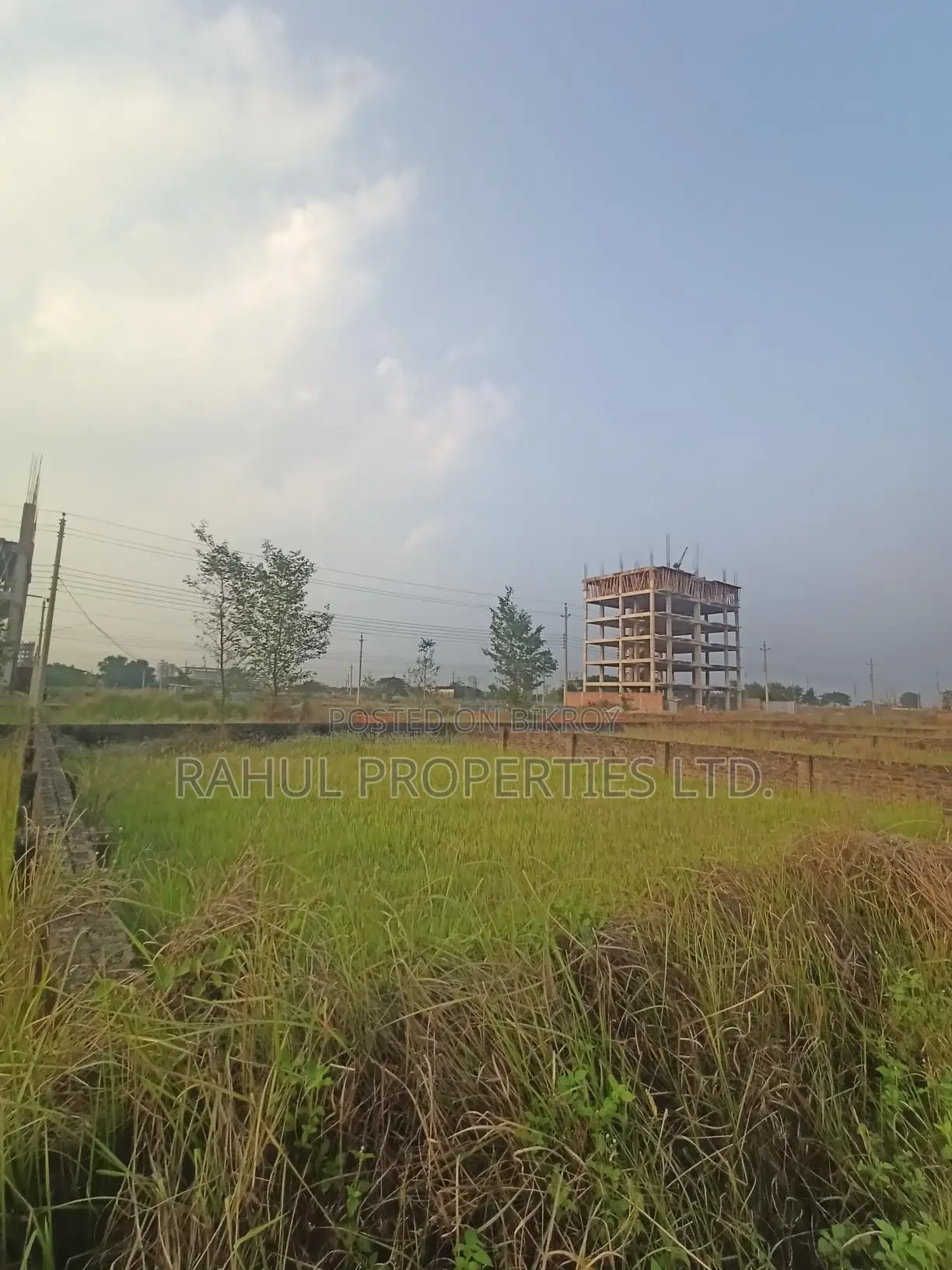 Urgent need. Bashundhara [ P Block ] South facing plot for sale in Basundhara