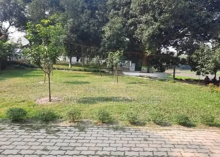 Buy a plot in Purbachal! in Purbachal