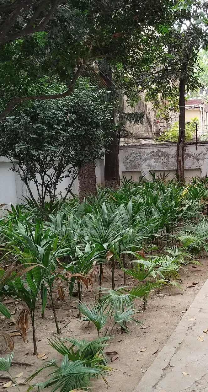 Land Sale Gulshan 1 in Gulshan