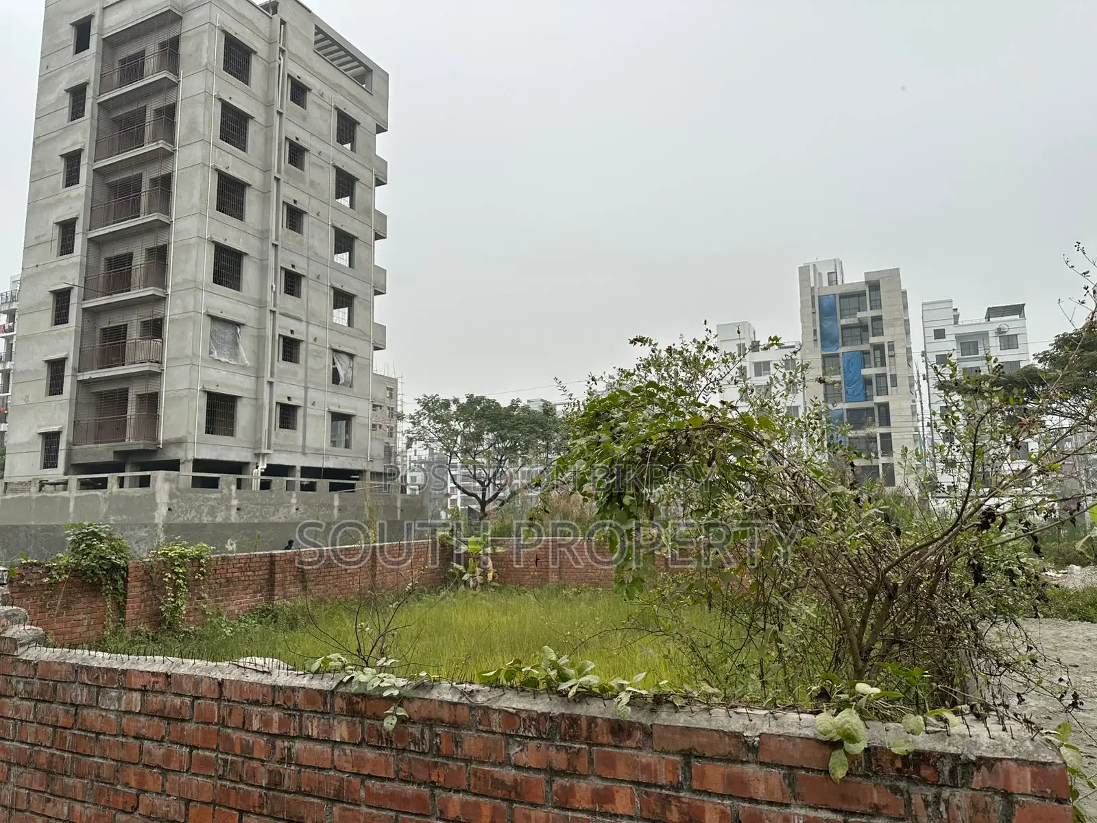 N Block 3-Katha South-facing plot for sale in Bashundhara in Basundhara