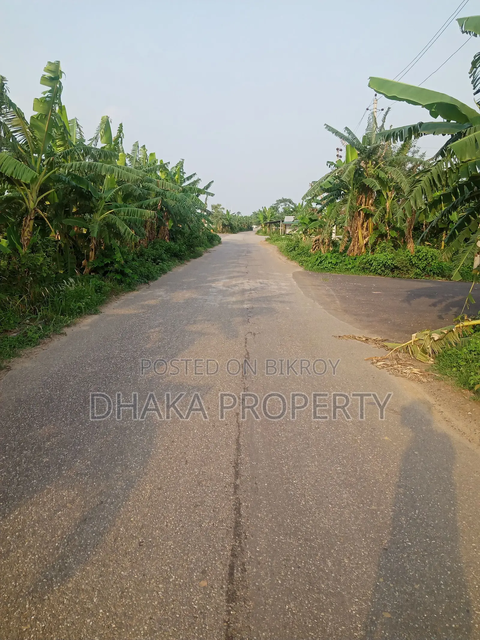 30ft Road, 3 Katha Park South at Sector-20 in Purbachal