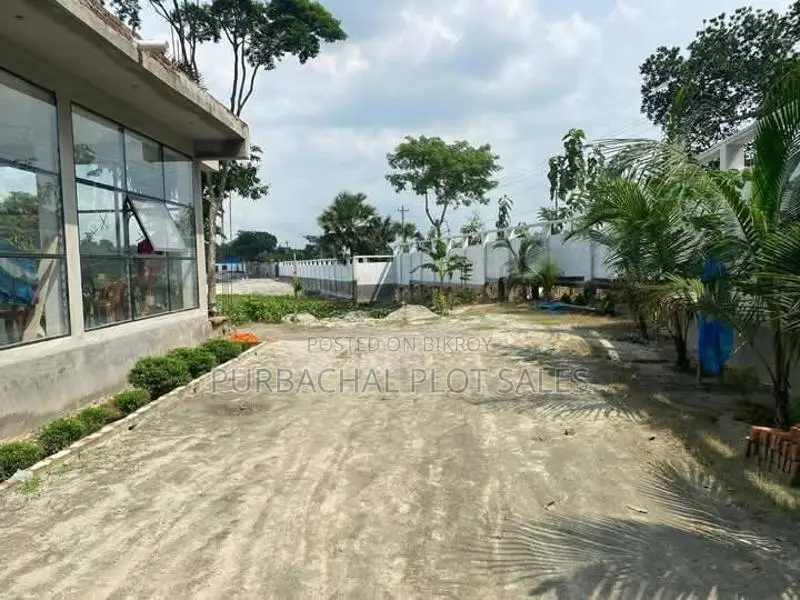 Smart Investment in Pine City in Purbachal