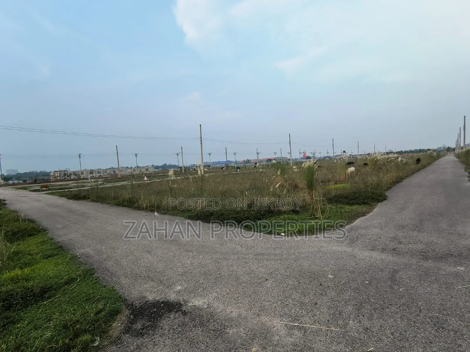 N-Ext Block 5 katha south face Plot for sale in Basundhara
