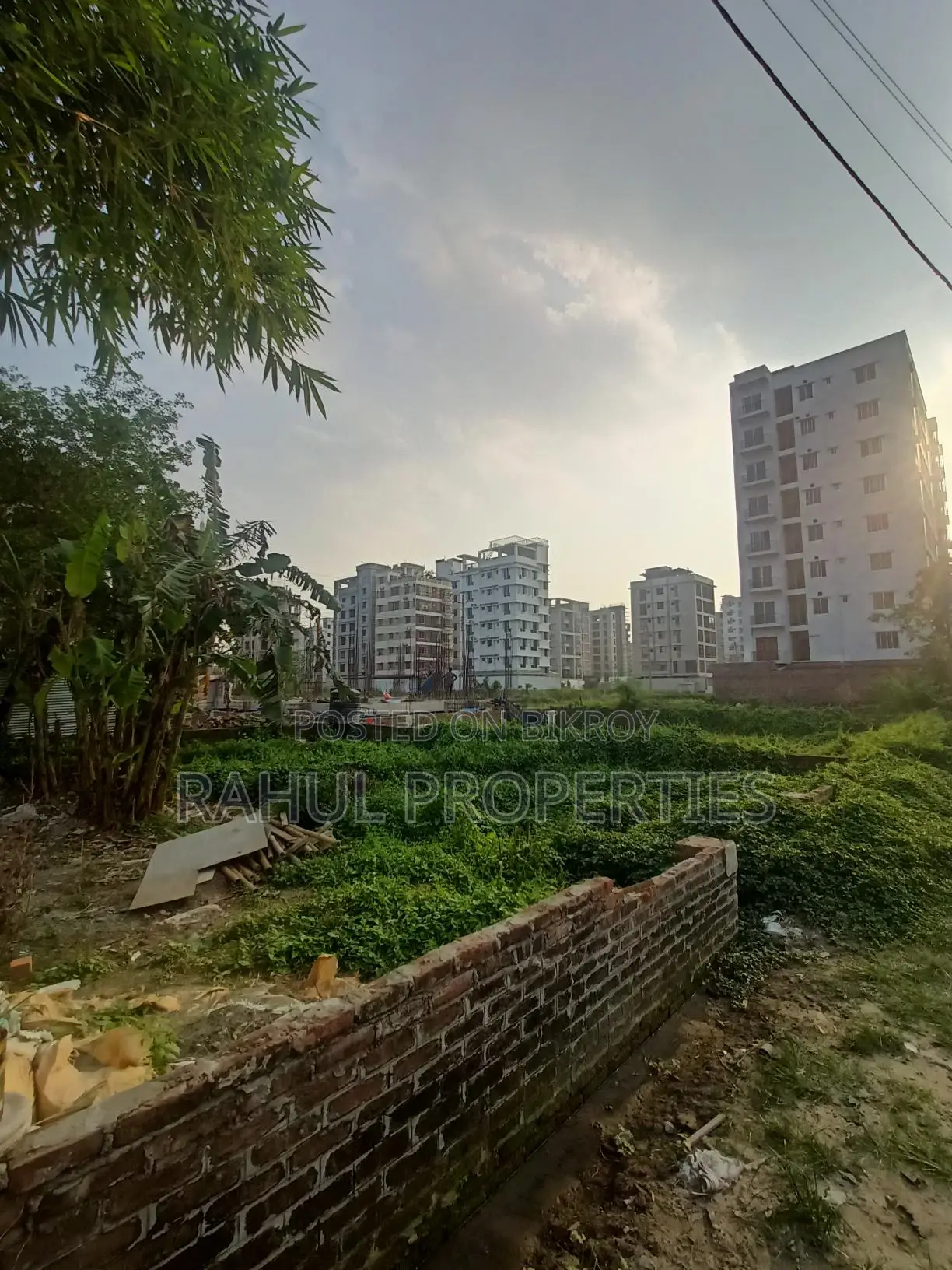 Urgent Money Needed [ M Block ] 3 Katha Plot for Sale in Bashundhara. in Basundhara