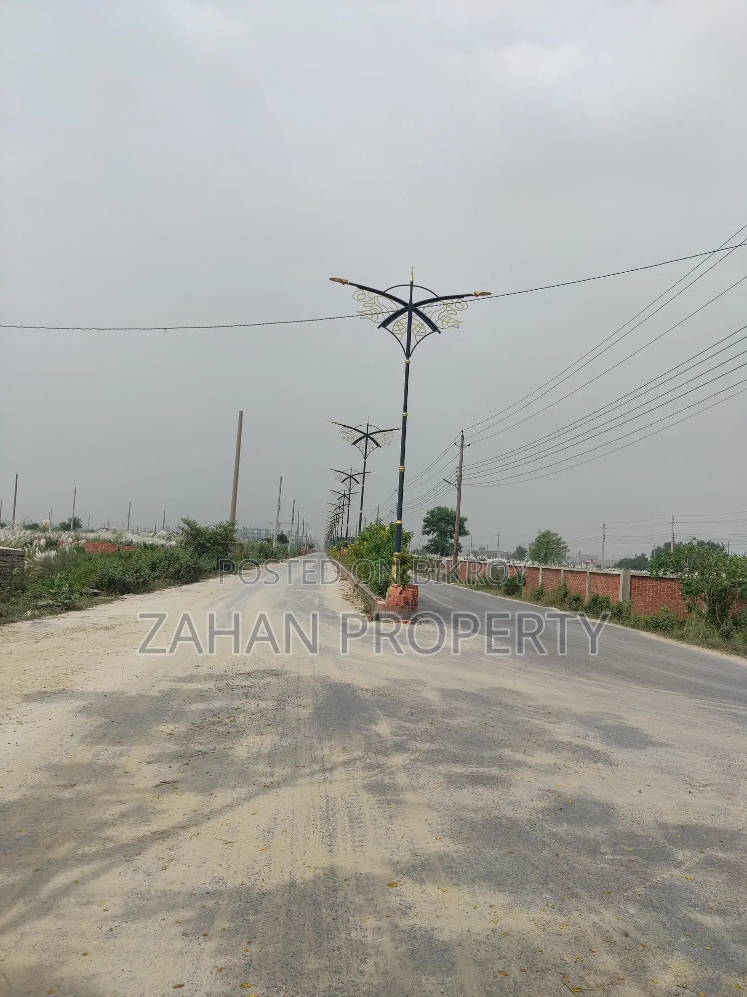 P Block 60 ft 04 katha South Face Plot for Sale in BASHUNDHURA in Basundhara