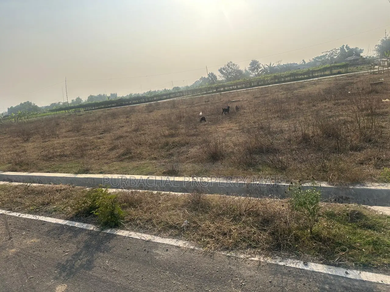 South-facing plot for sale at the lowest price in Purbachal Sector 28. in Purbachal