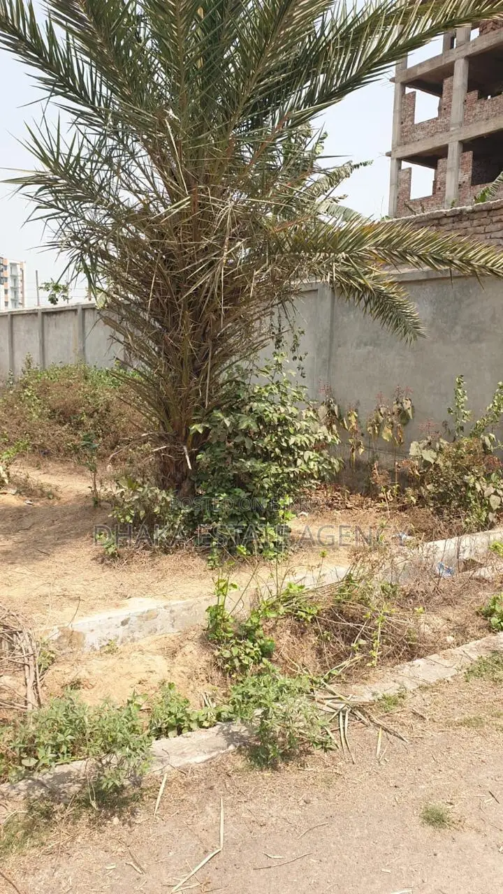 Sector-8, North Face 5 Katha Plot For Sale in Purbachal
