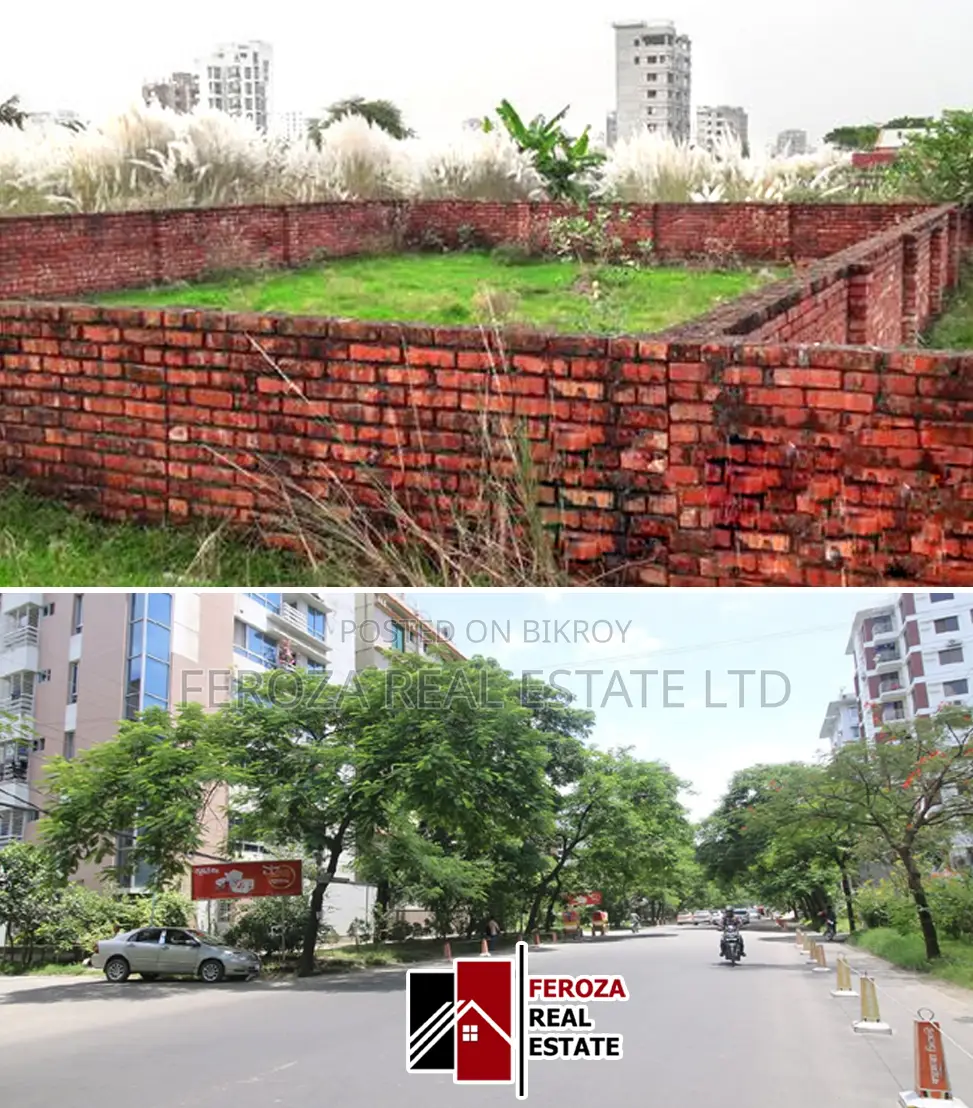 Urgent Sale Plot Block N, 6 Katha Near 300' Feet Road in Basundhara