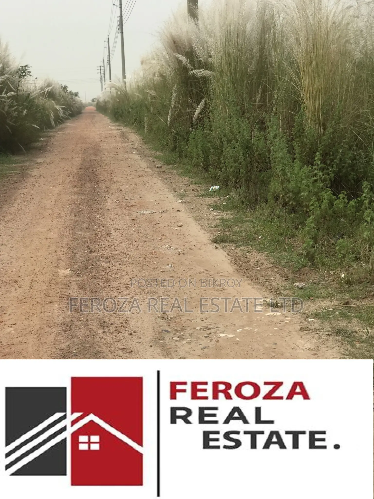 Urgent Sale Plot Block N, 6 Katha Near 300' Feet Road in Basundhara