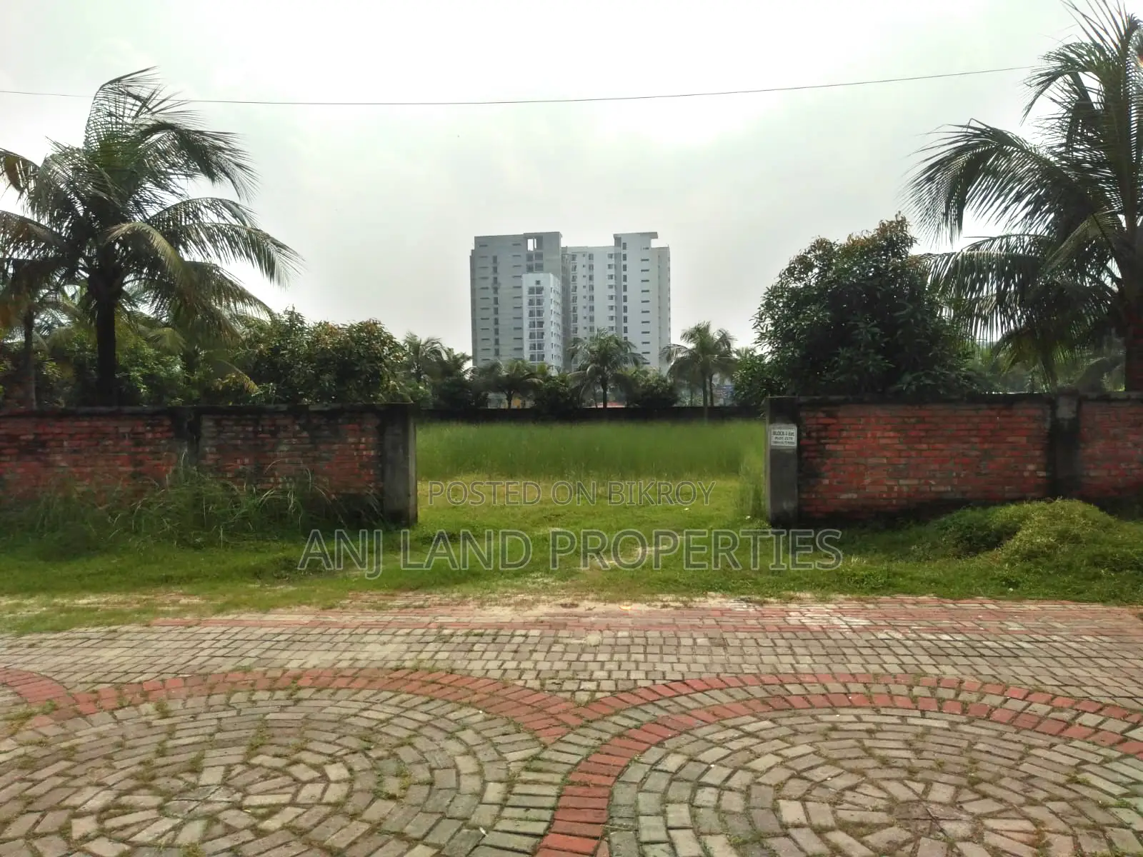 K-Block 24-Katha Plot Sale in Basundhara