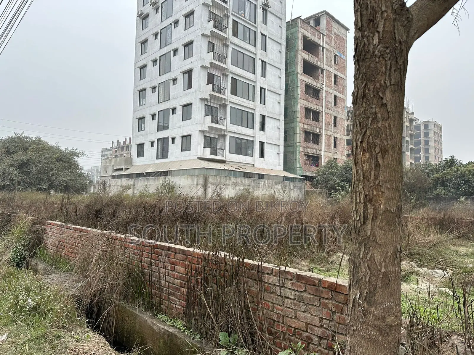 3 Katha Plot, L Block - Bashundhara Residential Area in Basundhara