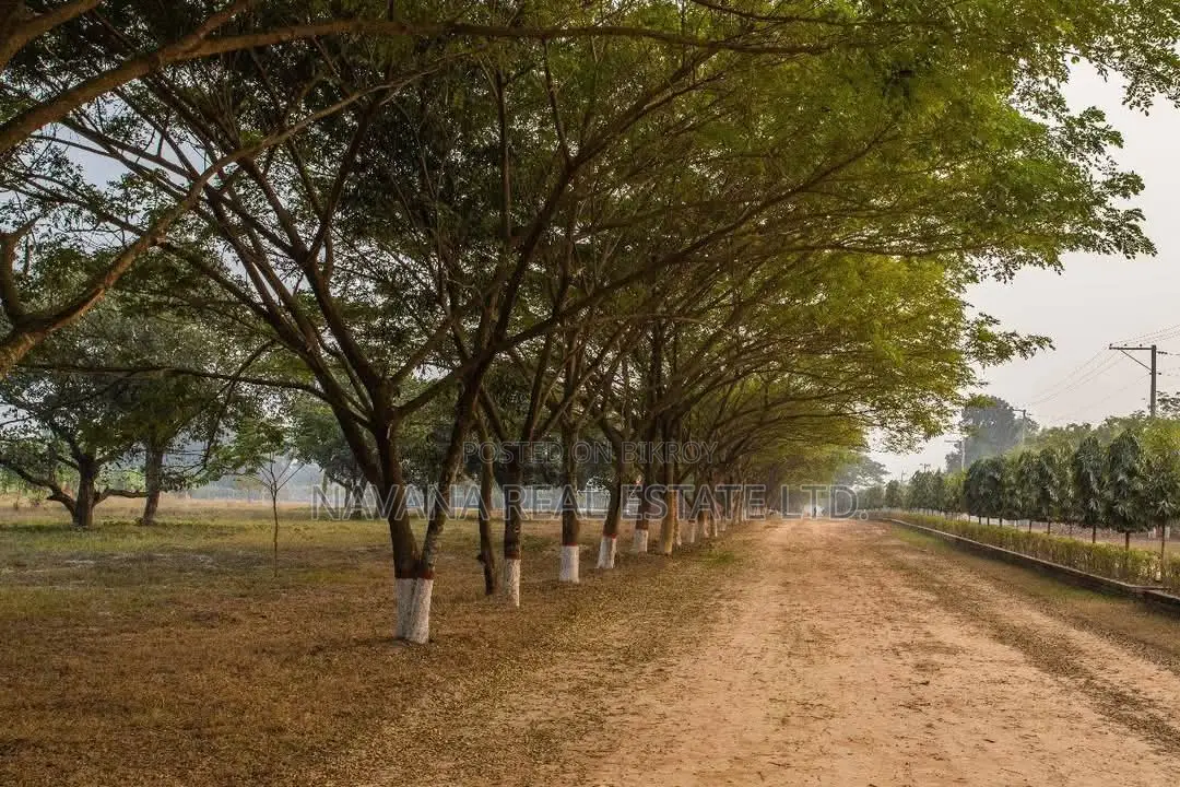 Residential Plots for Sale in Navana! in Purbachal