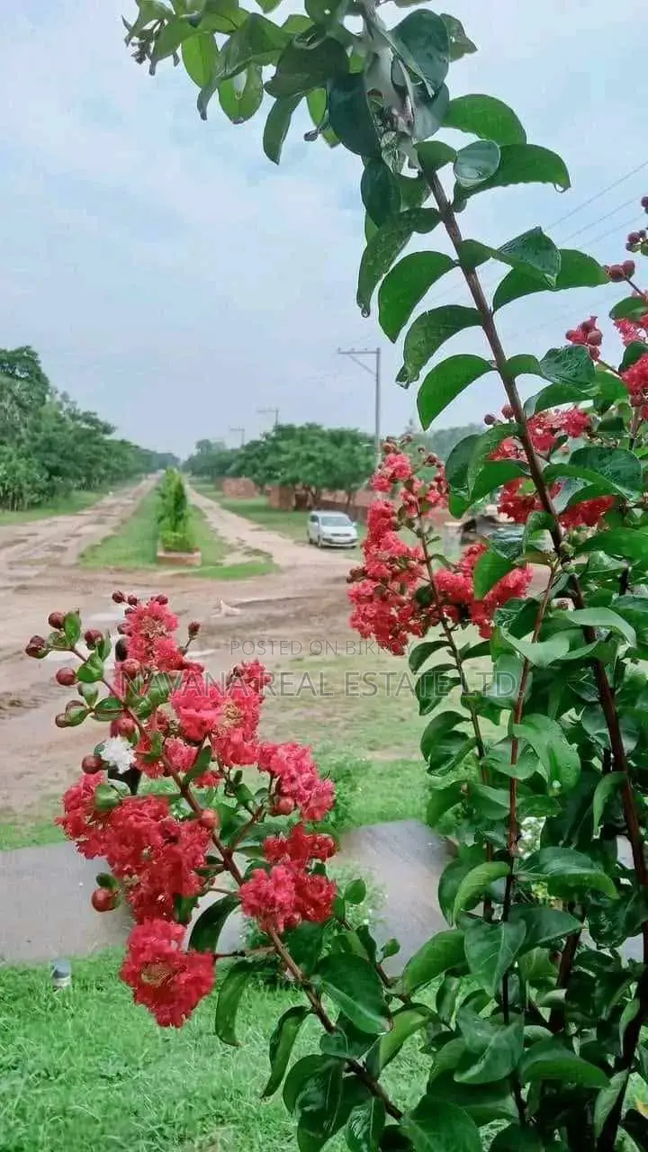Residential Plots for Sale in Navana! in Purbachal