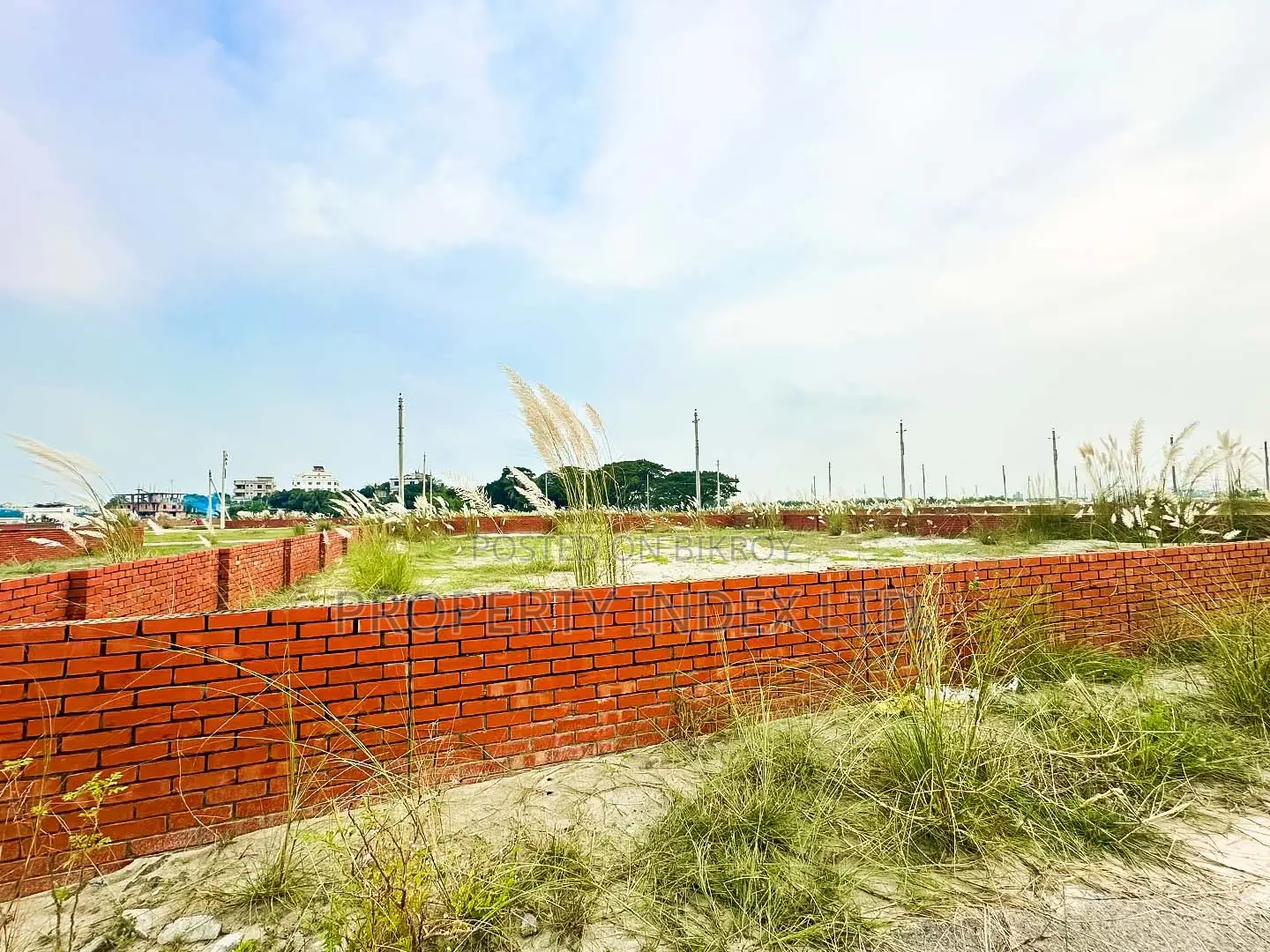 3 Katha North-Facing Plot for Sale in Bashundhara P Block in Basundhara