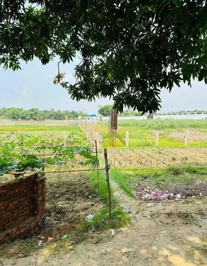 Buy Land in Pine City in Purbachal