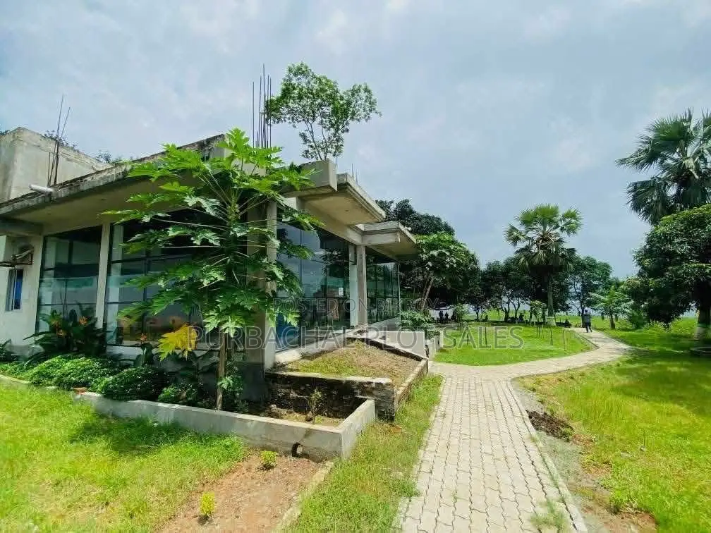 Turn Your Dreams into Reality by Investing in Pine City. in Purbachal
