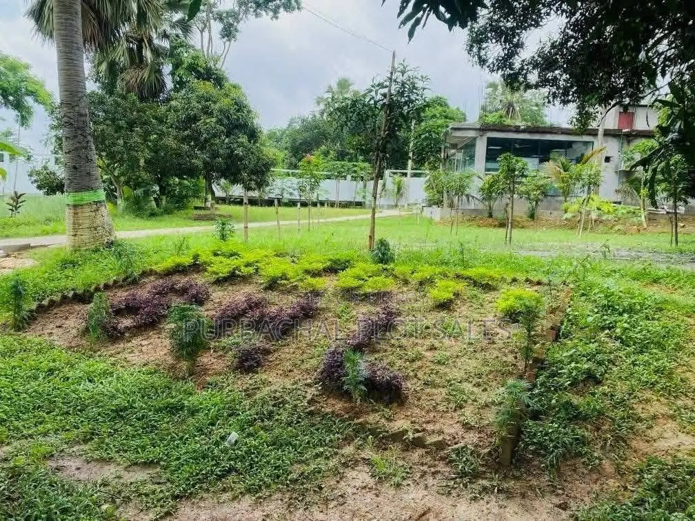 Turn Your Dreams into Reality by Investing in Pine City. in Purbachal