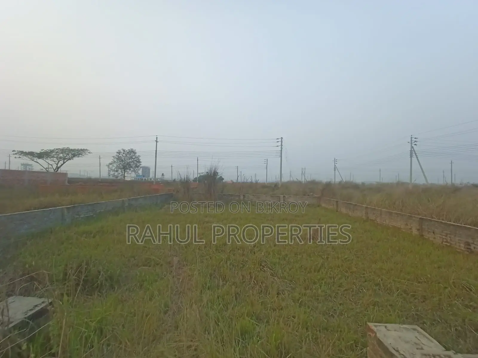 N Block- South Facing Land For Sale In Bashundhara R/A in Basundhara