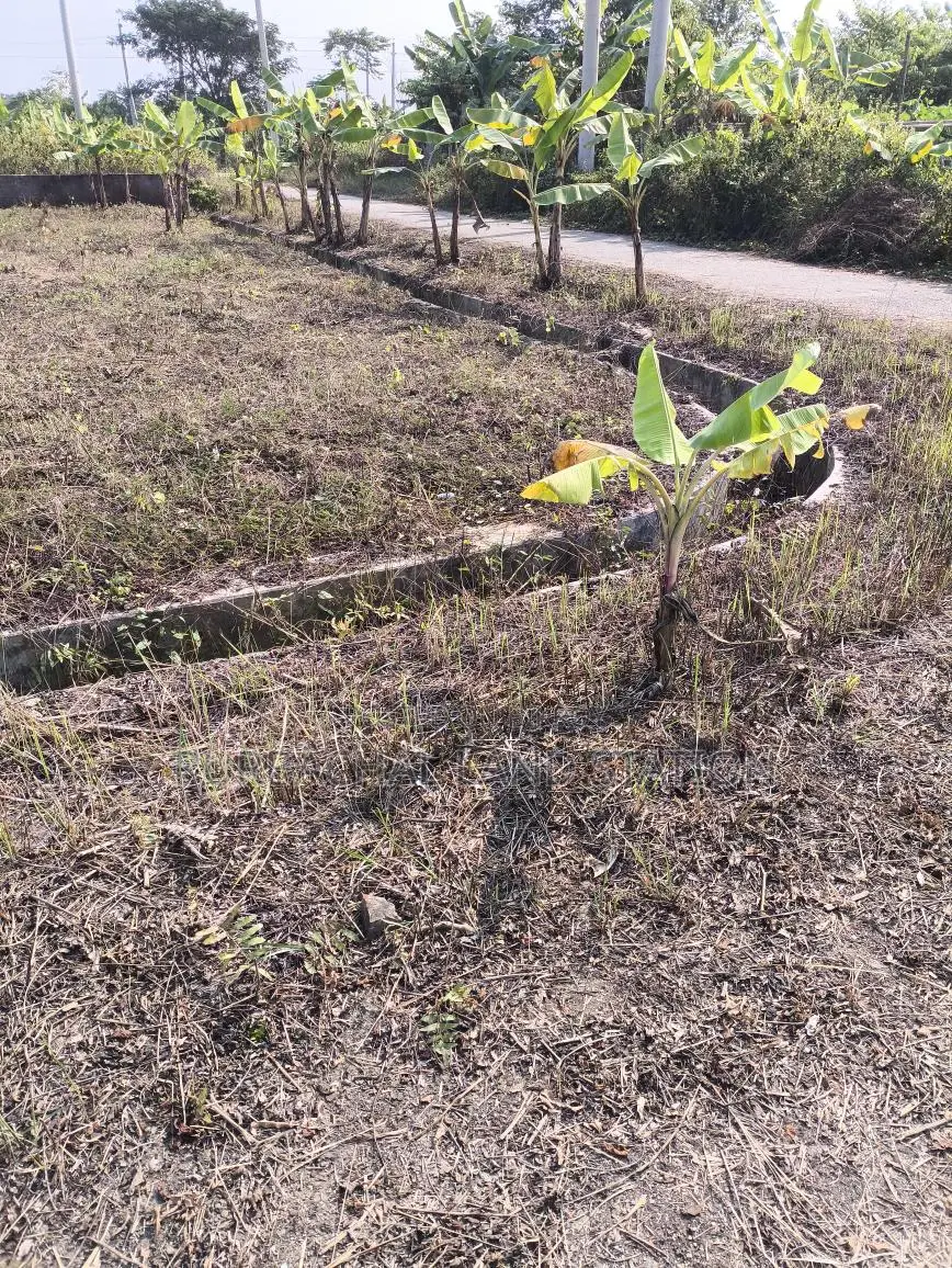 Sector 9, South-East Corner 5 Katha Plot for Urgent Sale, Purbachal. in Purbachal