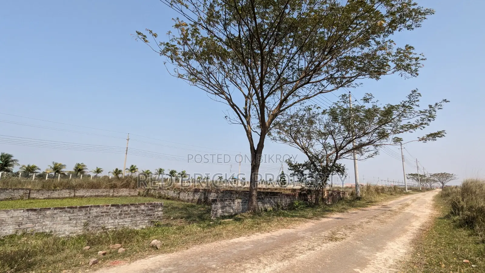Urgent Block-N, South Face 3 Katha Plot Sale in Basundhara