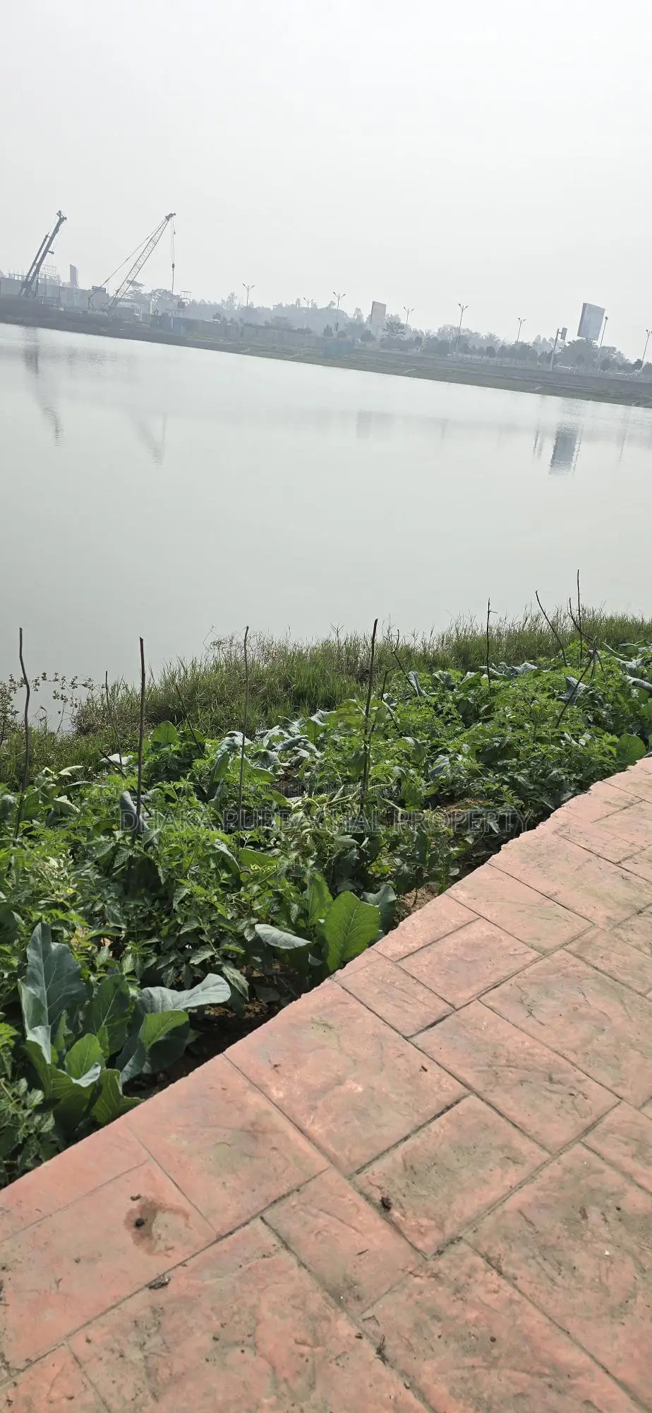 Rajuk Purbachal Sector-24 Lake South Facing Plot for Sale in Purbachal