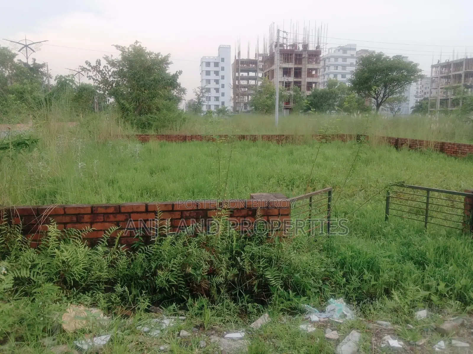 Urgent 3-Katha South-Facing Plot Sale in L-Block in Basundhara