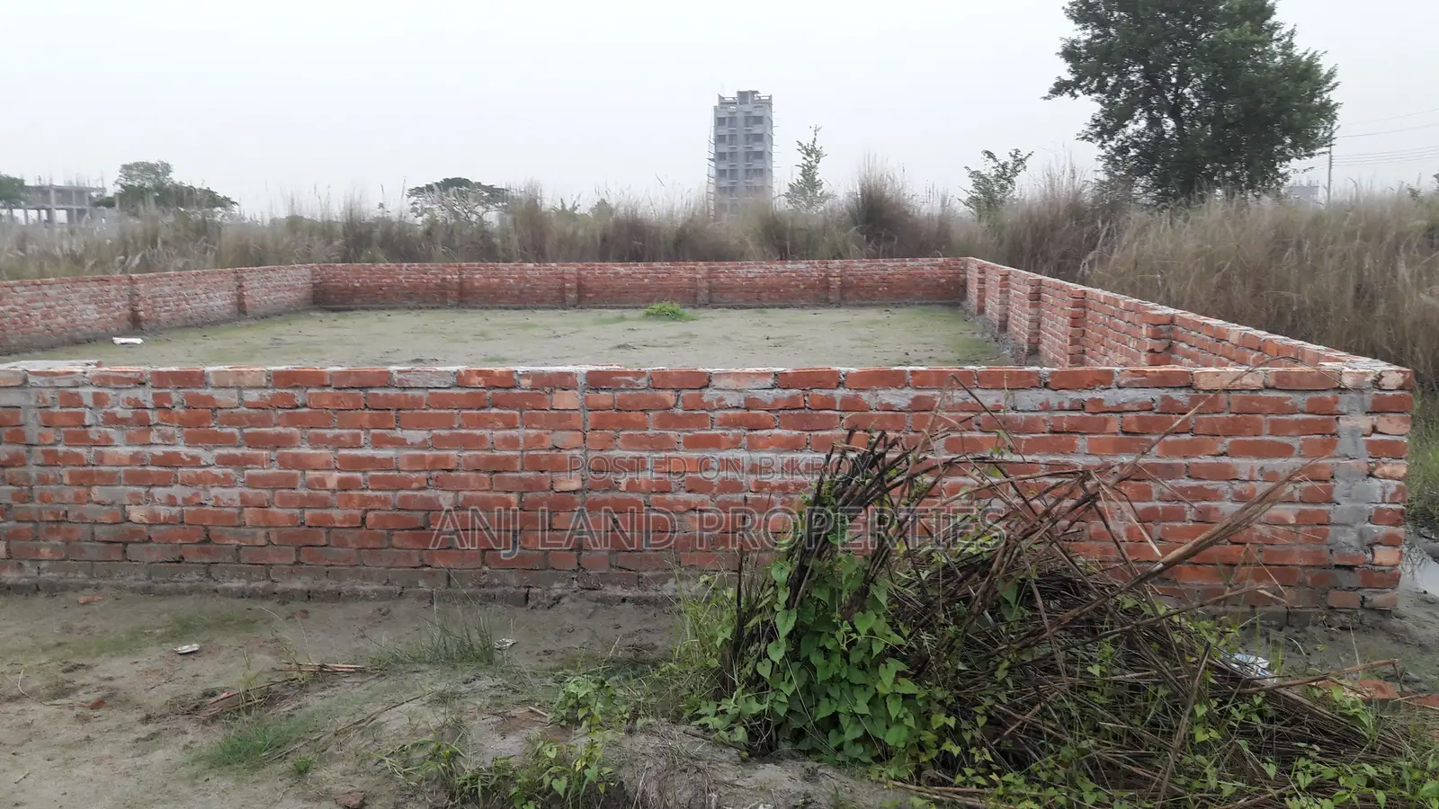 M-Block 5-Katha South Face Plot Sale in Basundhara