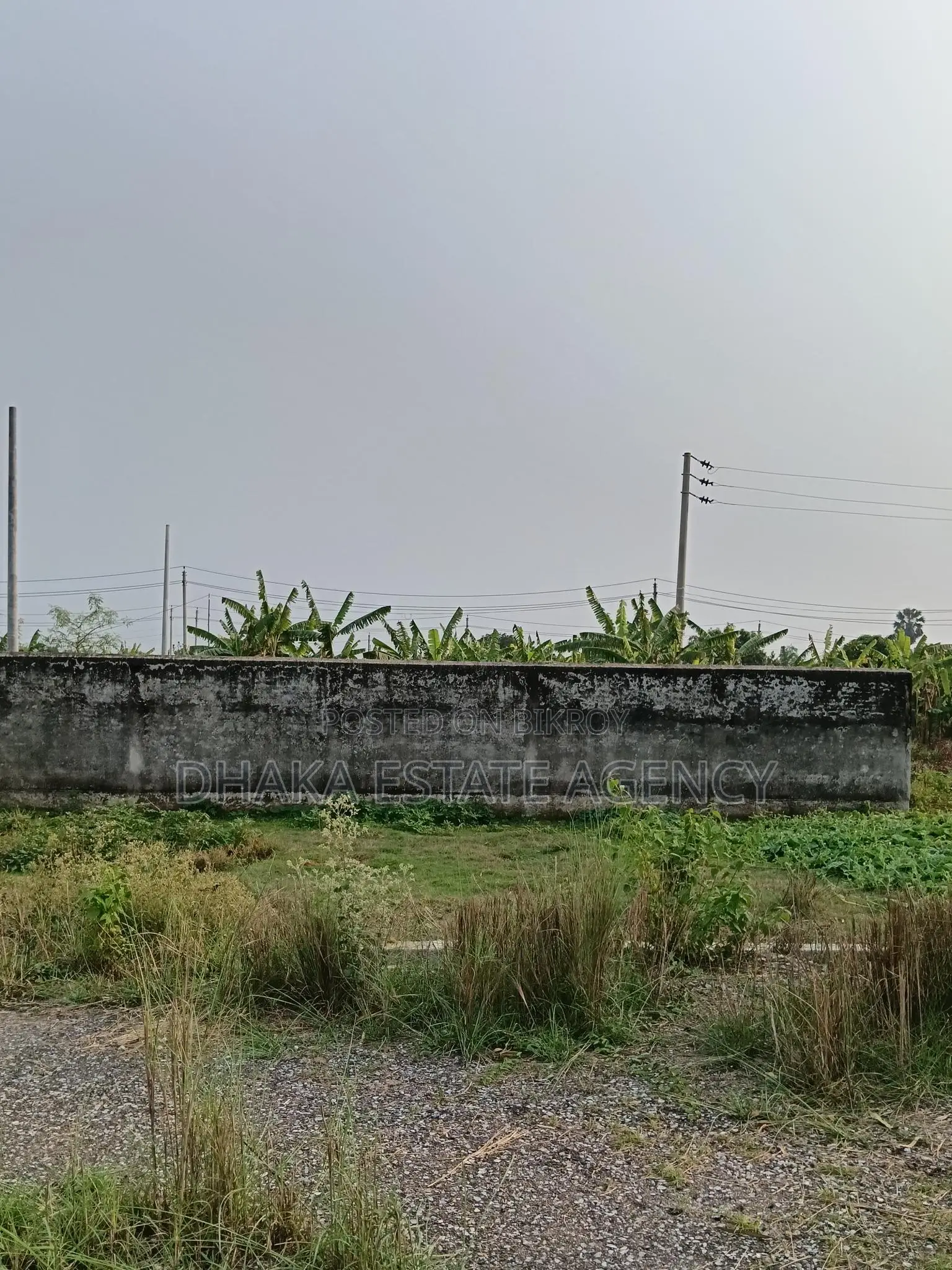 Sector 17D, right next to the Metro Station in Uttara