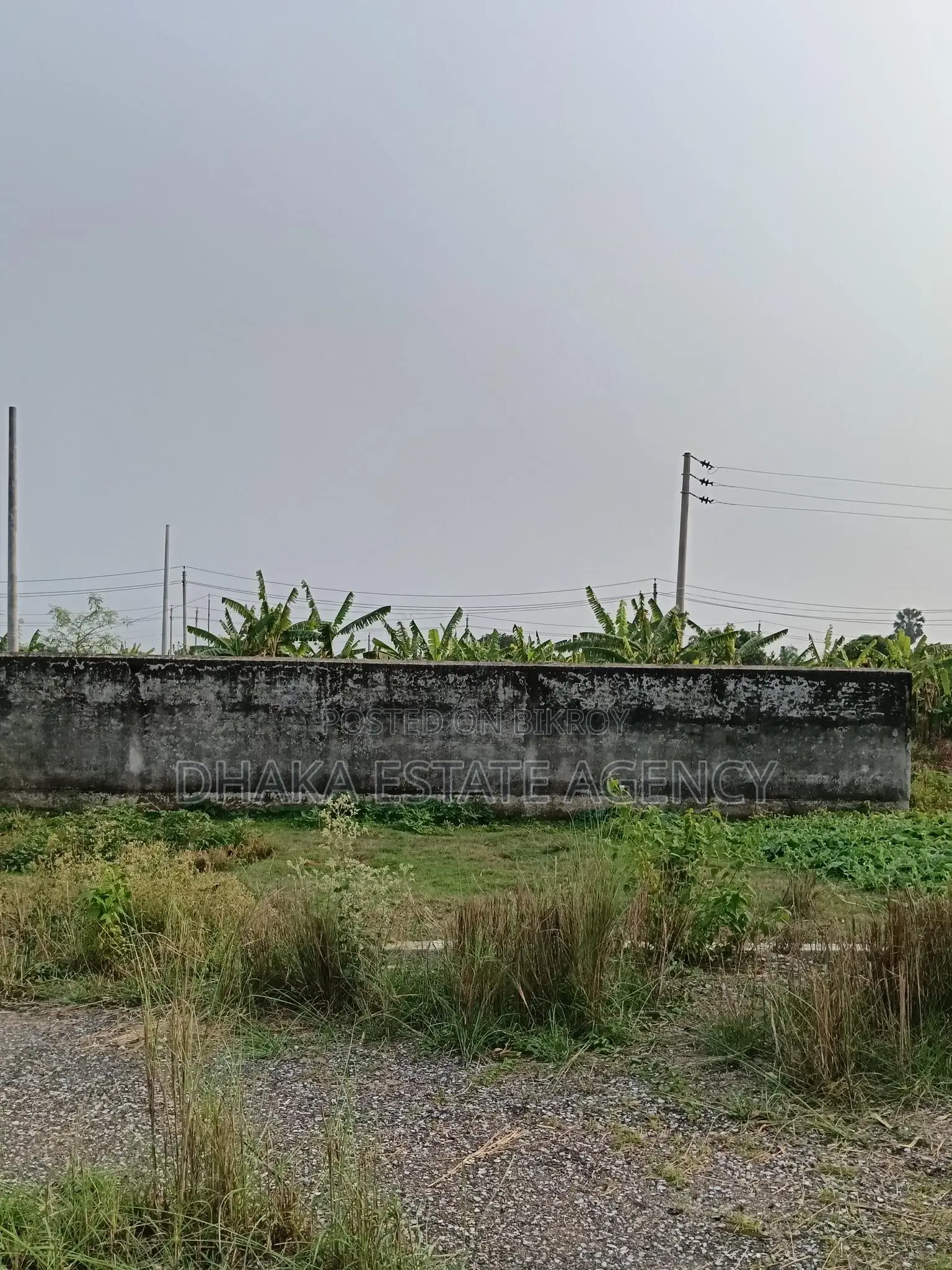 Sector 17D, right next to the Metro Station in Uttara