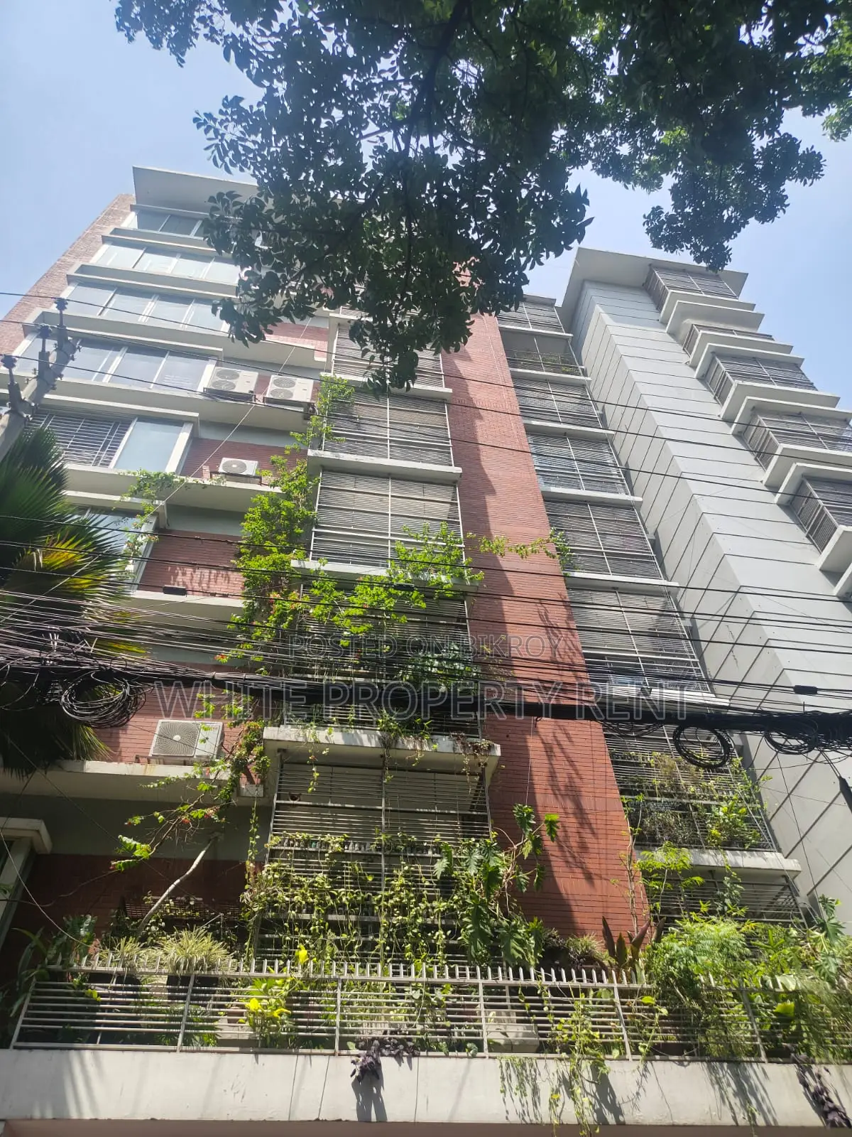 Apartment Rent at Gulshan 1 in Gulshan
