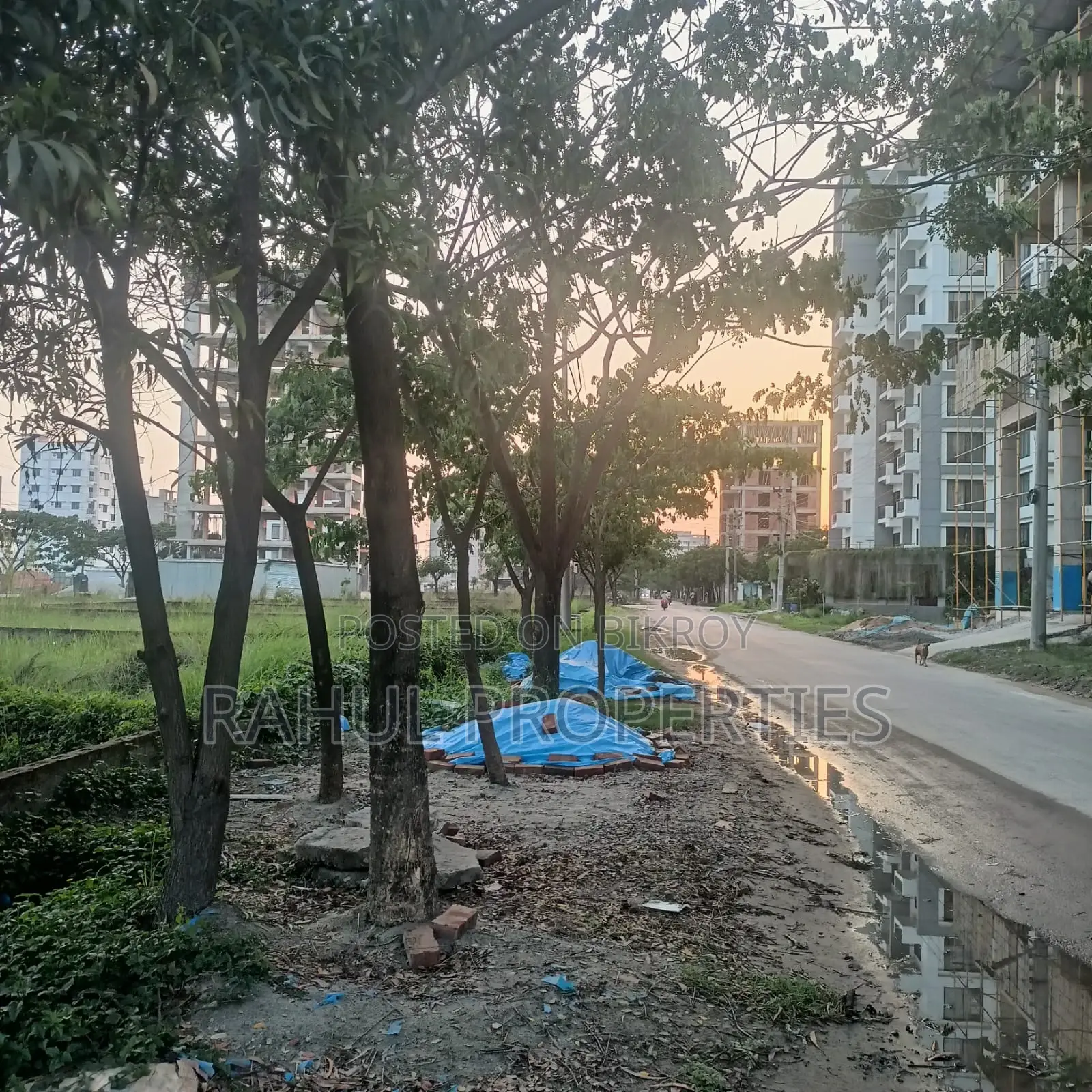 “60 Feet” Road ] Block -M [ 4 Katha BASHUNDHARA in Basundhara
