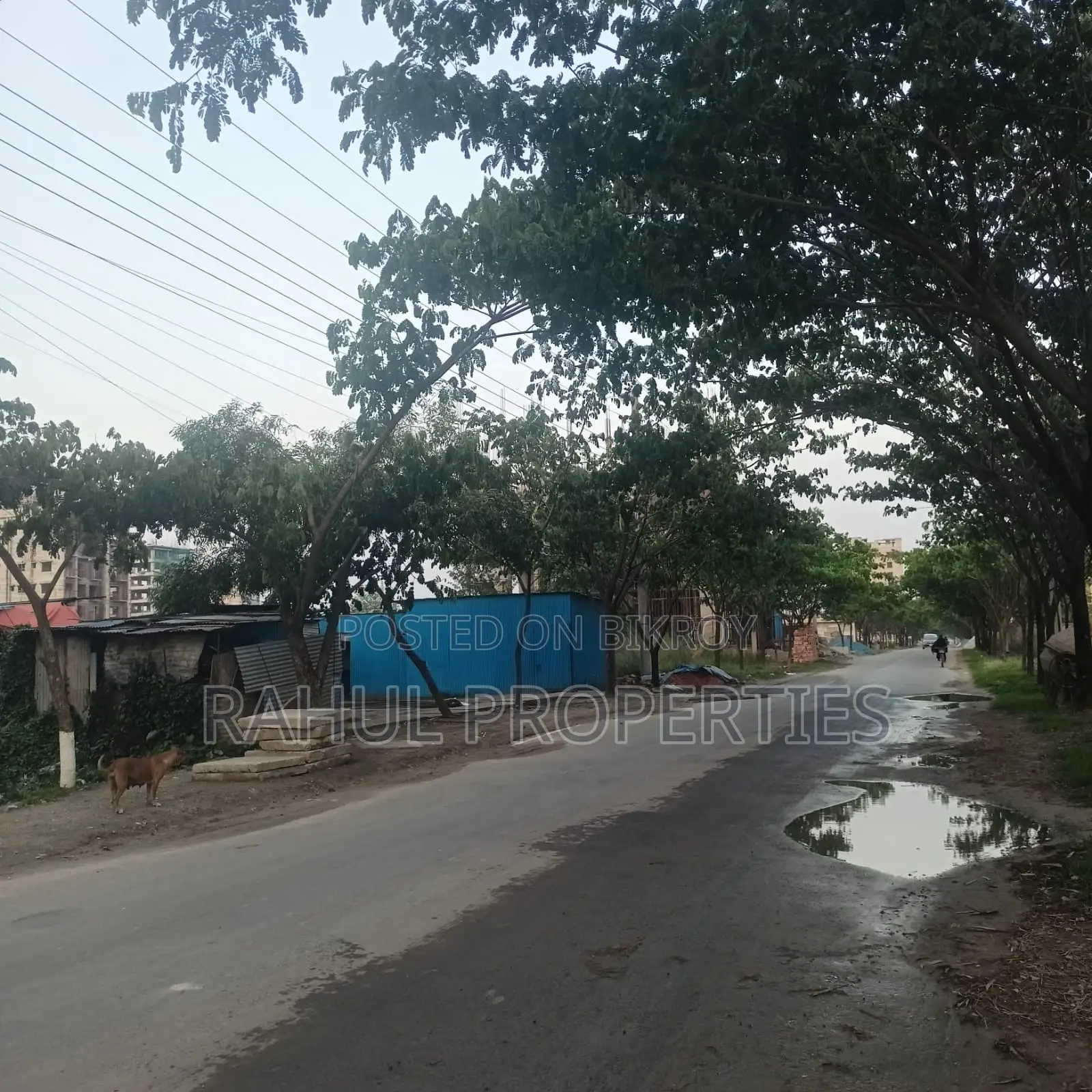 “60 Feet” Road ] Block -M [ 4 Katha BASHUNDHARA in Basundhara