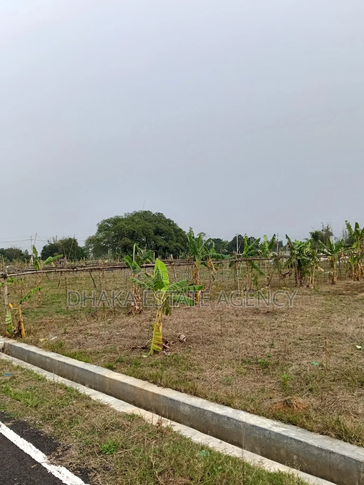 Sector-13, 54 Feet Road 5 Katha Plot Sale in Purbachal