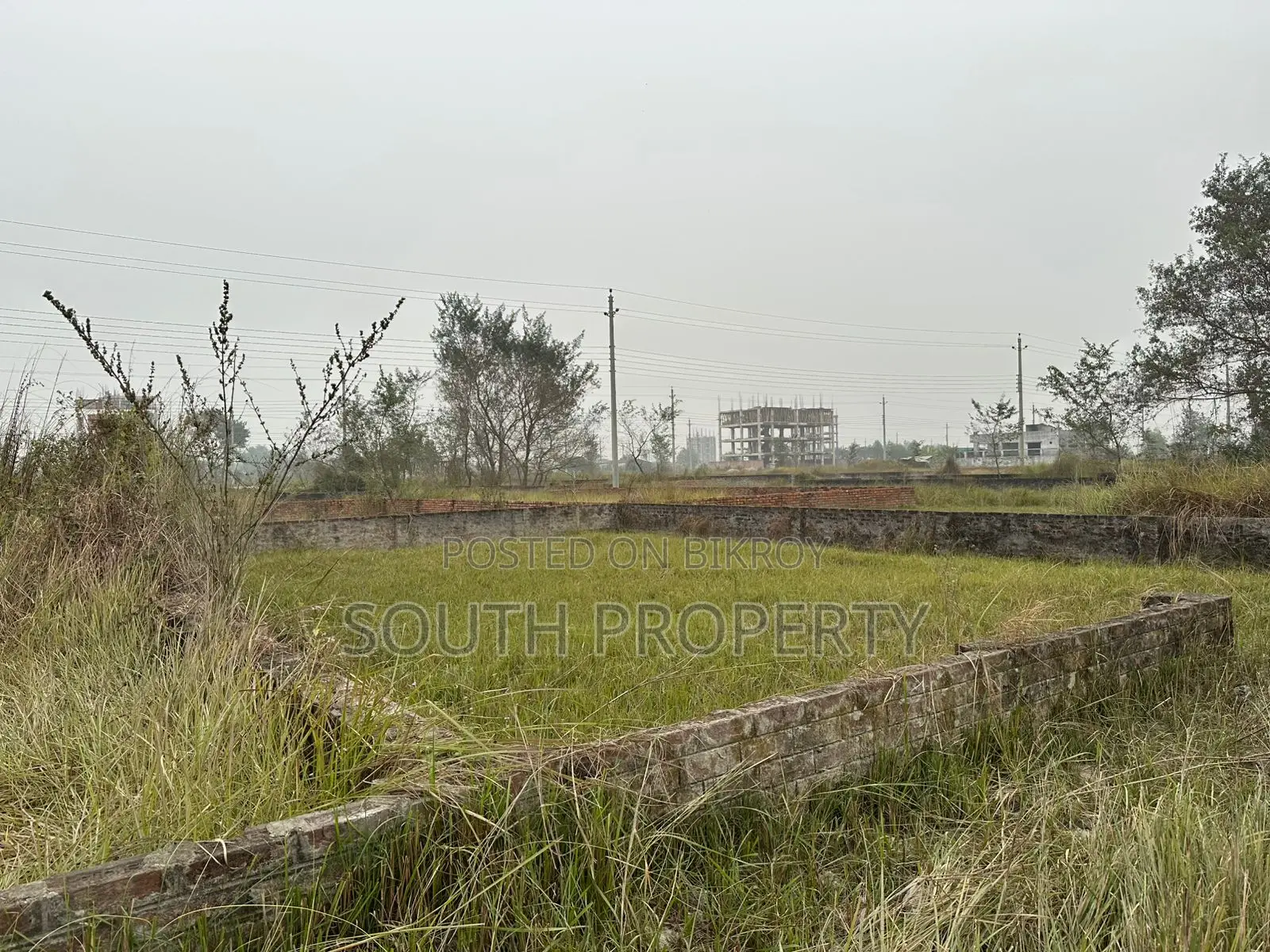 3-Katha South Facing Plot for Sale in Block N, Bashundhara, Baridhara in Basundhara