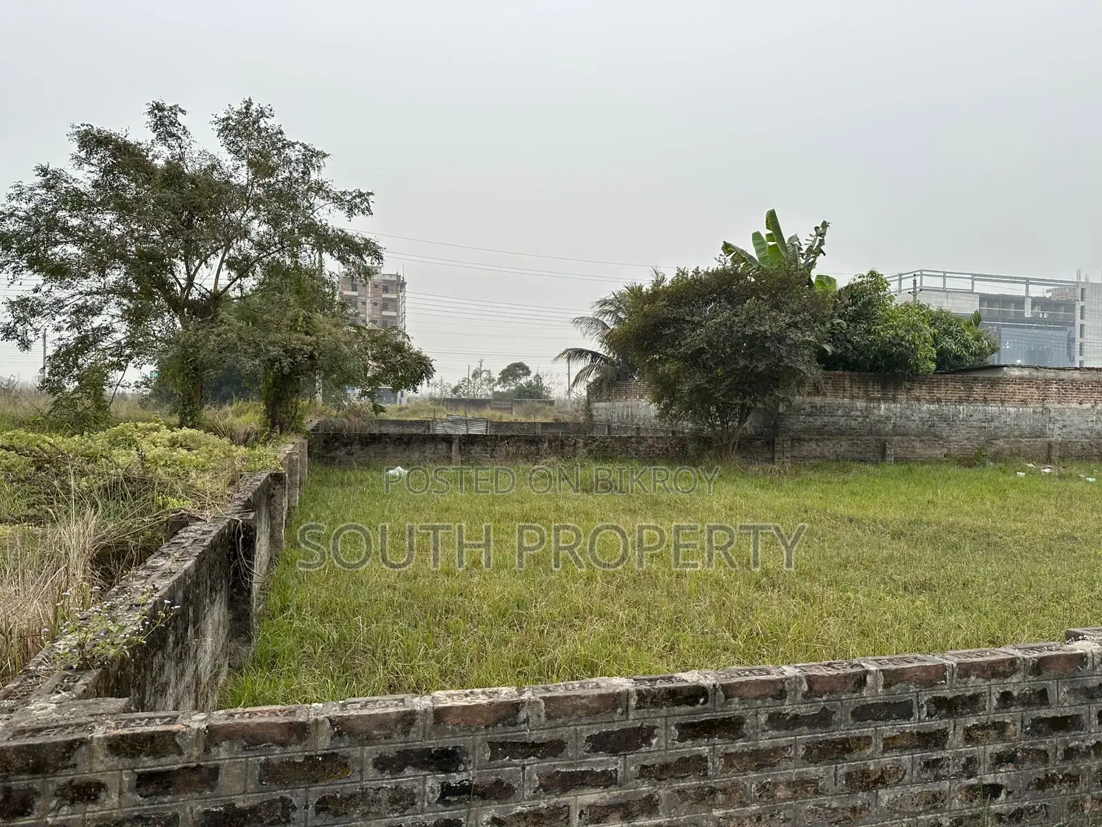 3-Katha South Facing Plot for Sale in Block N, Bashundhara, Baridhara in Basundhara