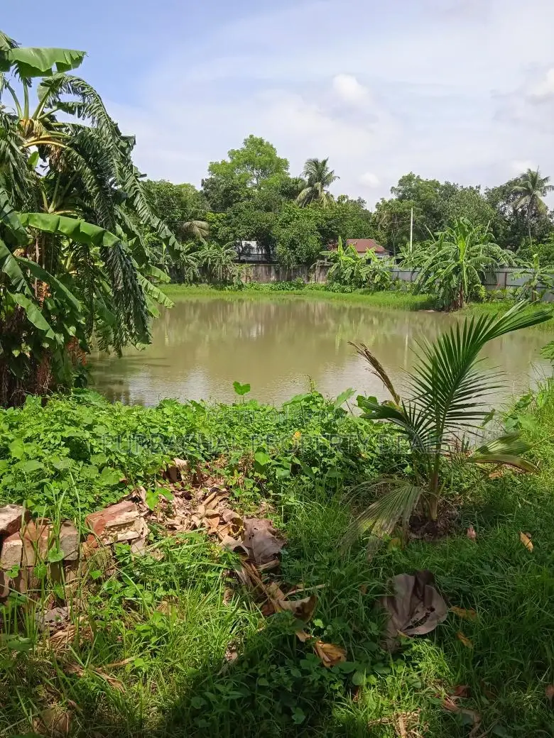 7.5 Bigha Land with Boundary Wall for Sale in Purbachal in Purbachal