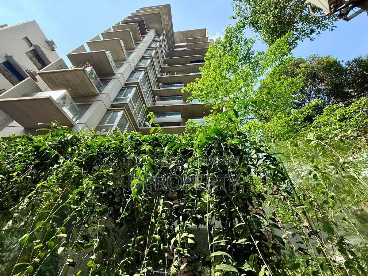 4000 Sft Brand New Full Furnished Apartment Rent at 5 Th Floor in Gulshan