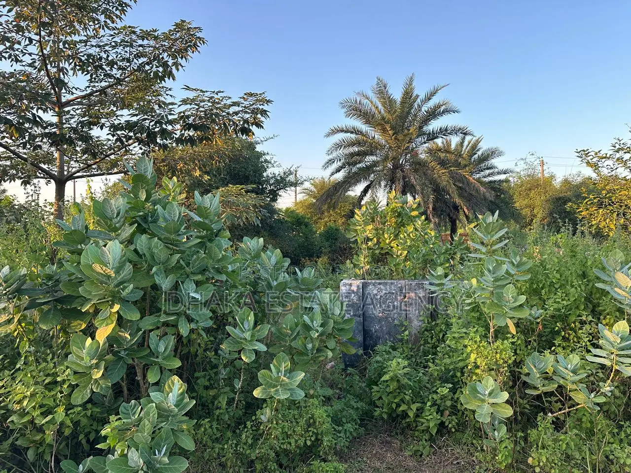 SECTOR 24, 3 KATHA LAND SALE in Purbachal