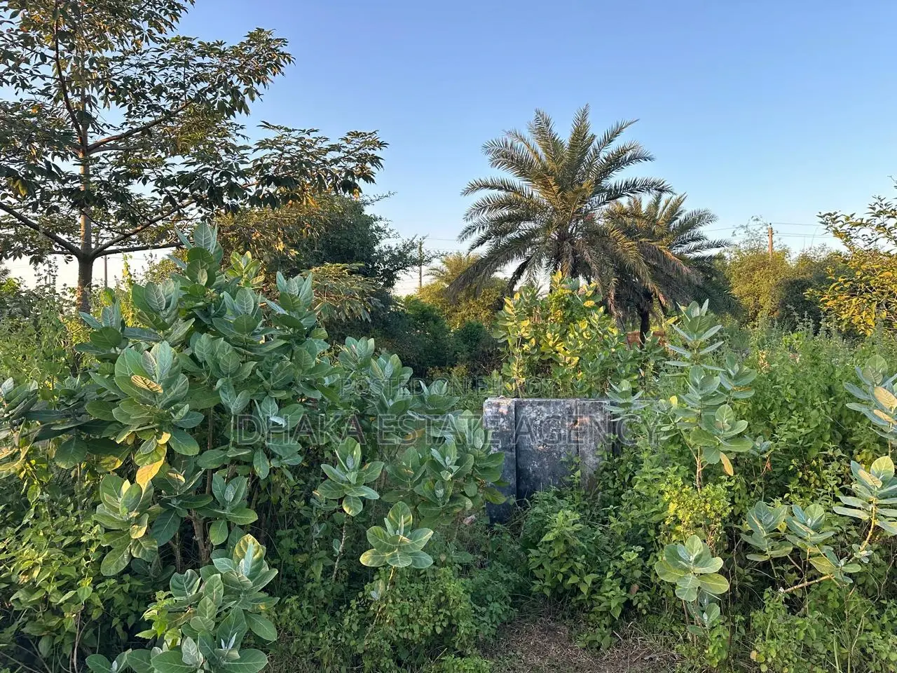 SECTOR 24, 3 KATHA LAND SALE in Purbachal