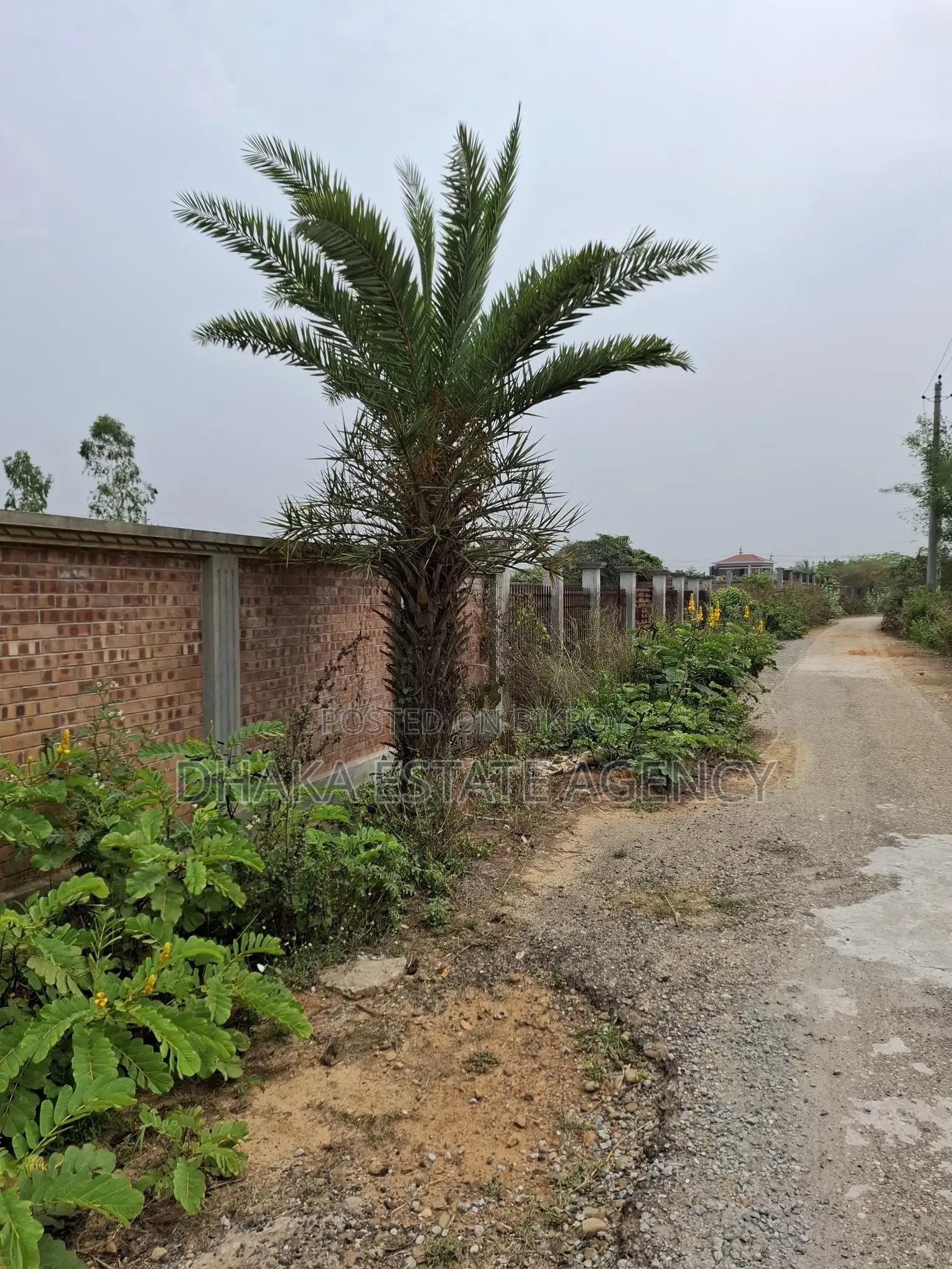 5 Katha Plot @ Purbachal Sector-3 in Purbachal