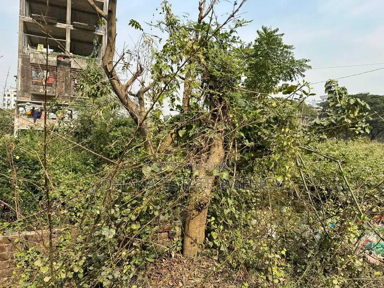 3+3=6 KATHA JOIN PLOT SALE 17K in Uttara