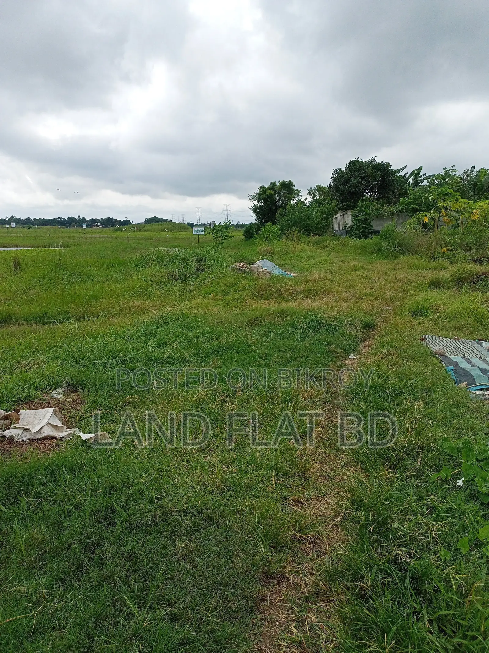 Enjoy a Peaceful Natural Environment @ 3 Katha Land for Sale in Keraniganj