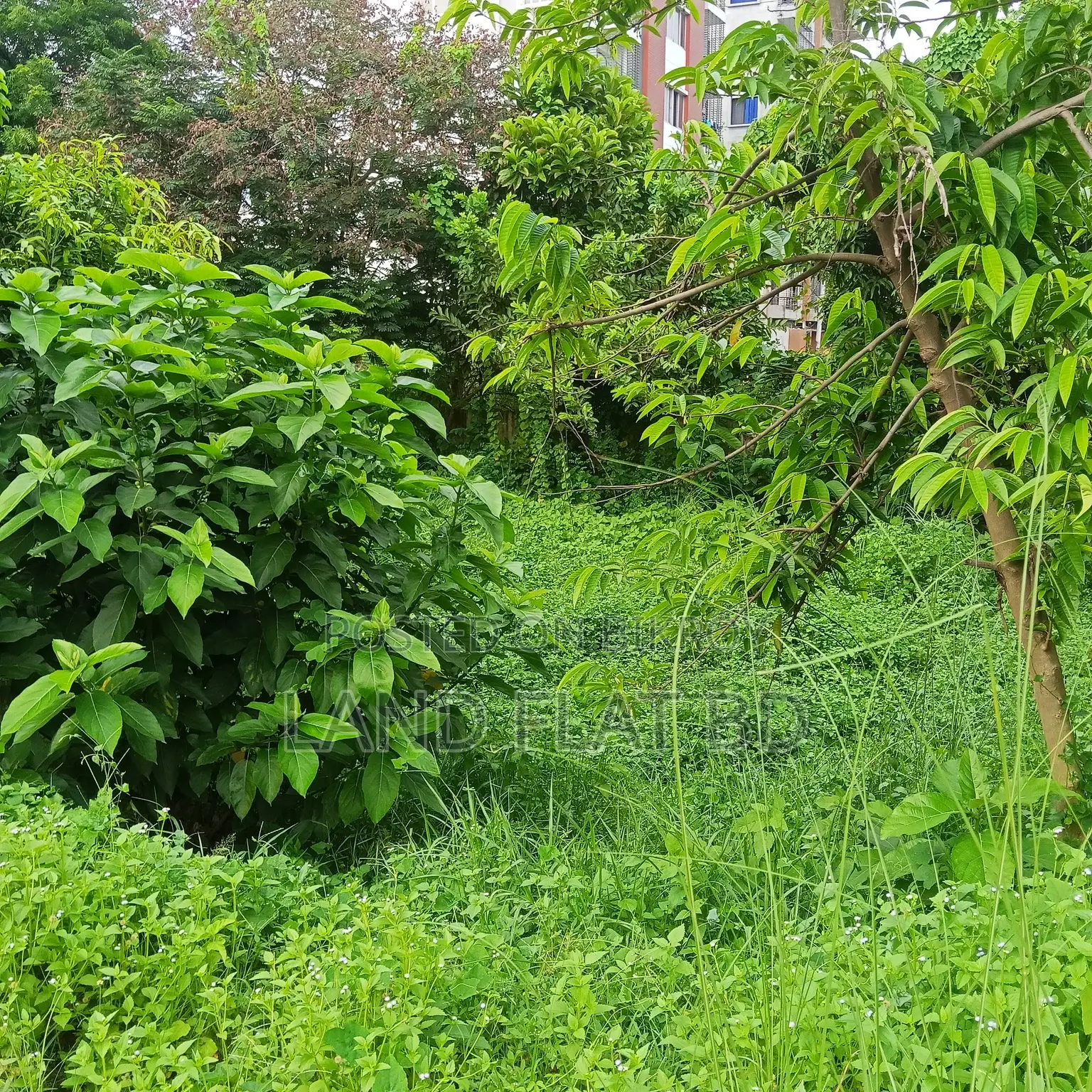 100% Ready-to-Build 7.92 Katha Plot for Sale in Mohammadpur