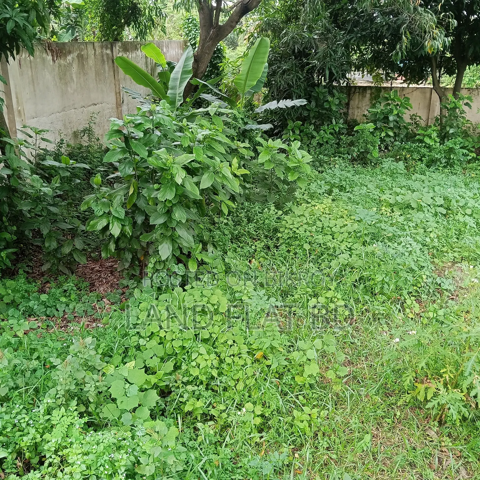 100% Ready-to-Build 7.92 Katha Plot for Sale in Mohammadpur