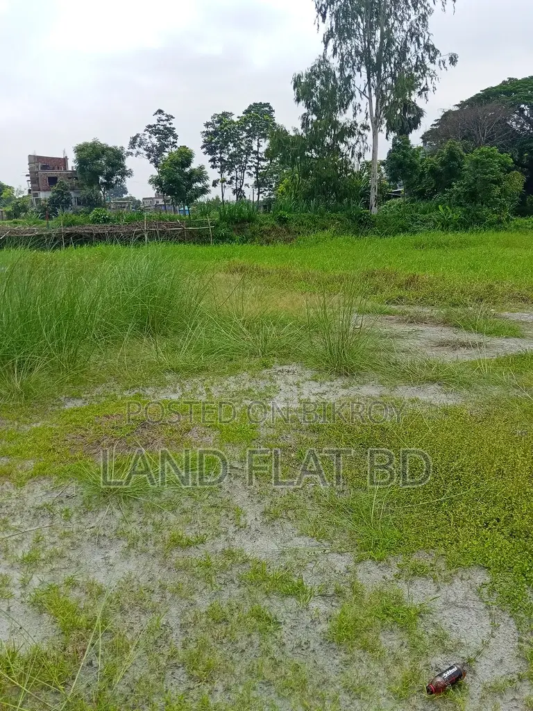 Land for sale by the road at a low price @12 Katha in Keraniganj