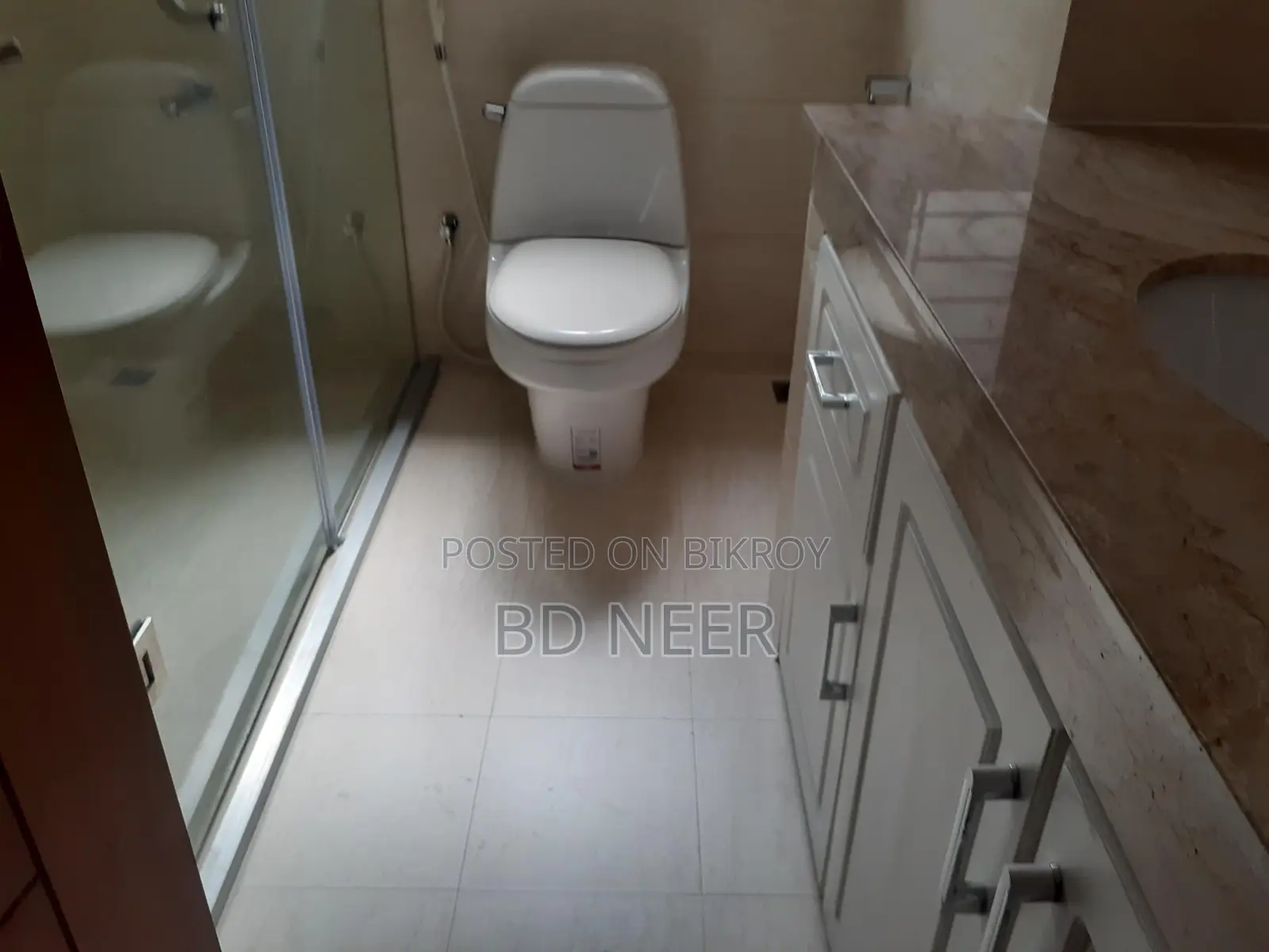 Lake View Gym Pool 4Bed Furnished Flat Rent in Gulshan-2 in Gulshan