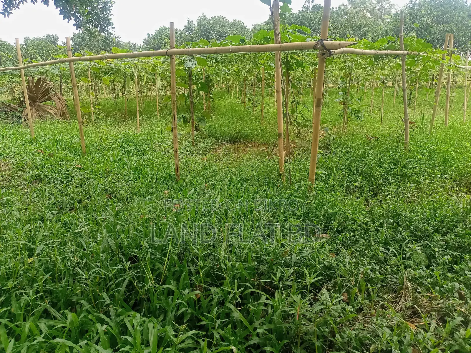 Affordable, Ready-to-Build Plots for Sale @ 3/5/10 Katha in Savar