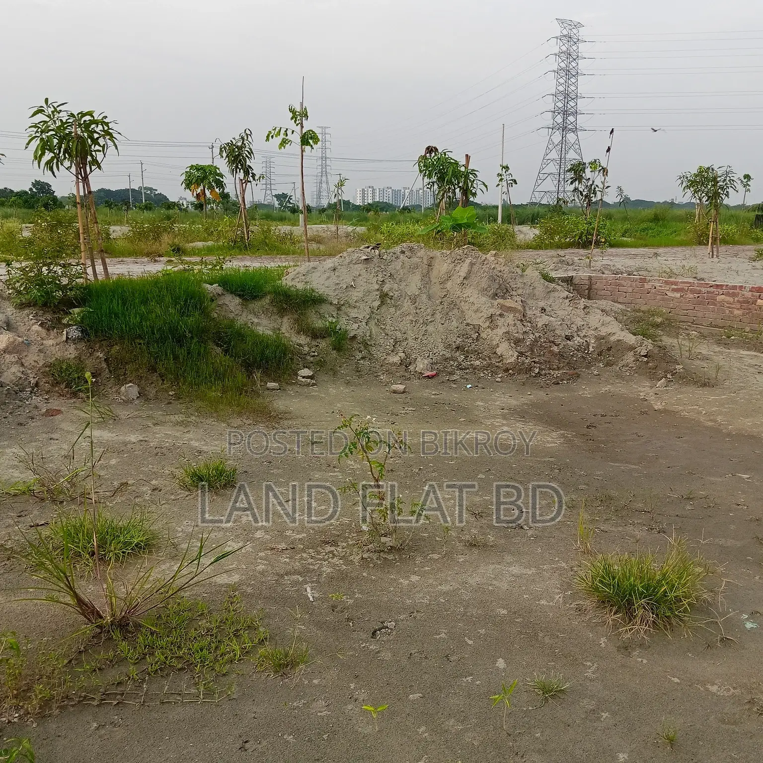 Ready Plot for Sale @ 6.5 Katha South-facing in Mohammadpur