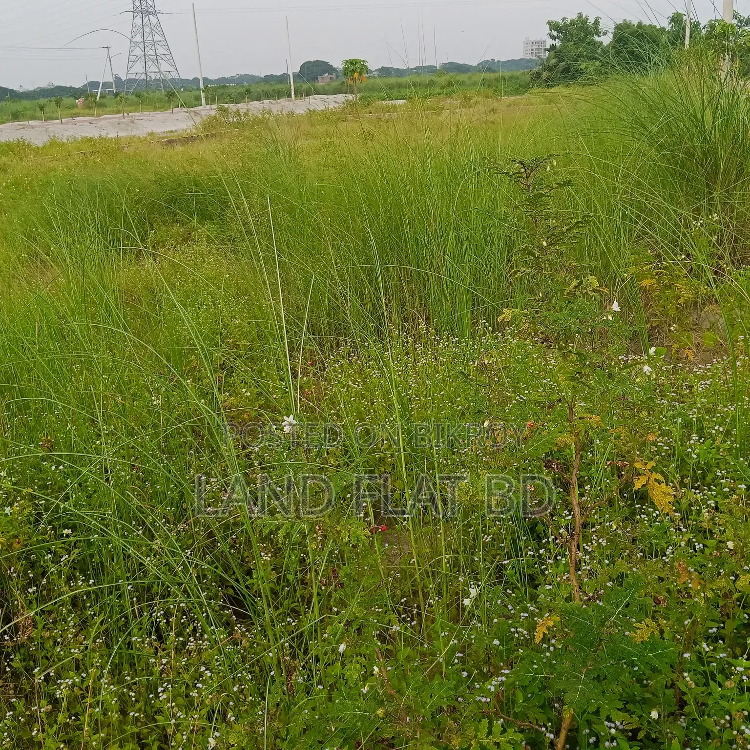 Ready Plot for Sale @ 6.5 Katha South-facing in Mohammadpur